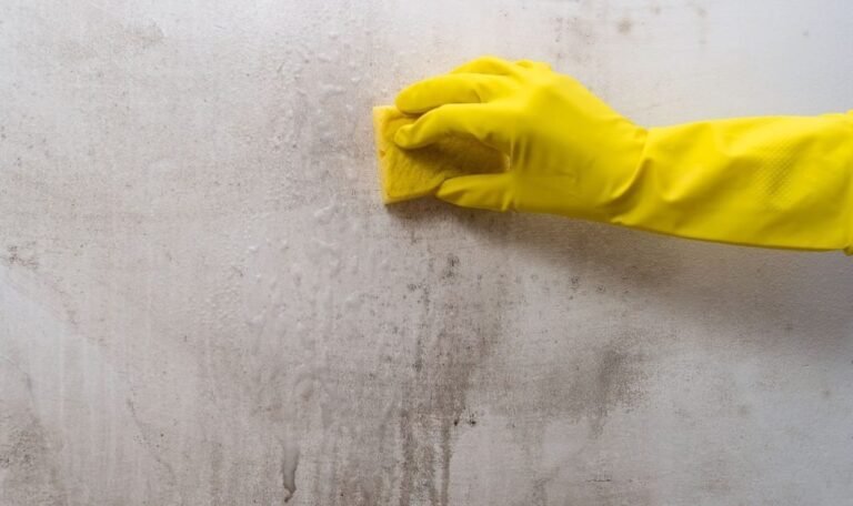 Remove-Stubborn-Grease-Stains-Maggy-Maid-Los-Angeles-1024x608-1
